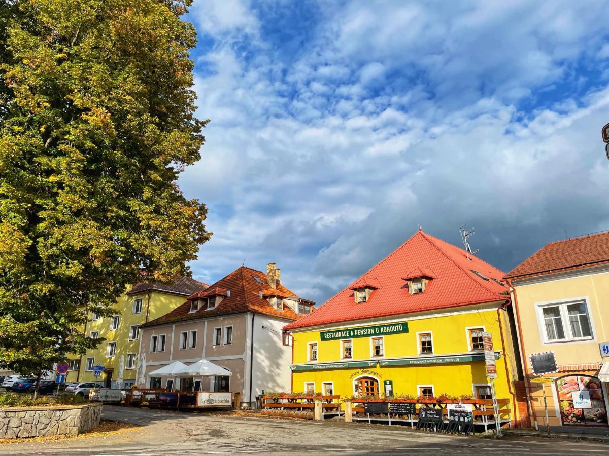 Pension U Kohoutu Horní Planá Exterior foto